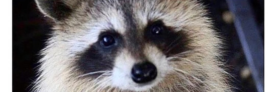 JamieJmanmorris's profile banner image
