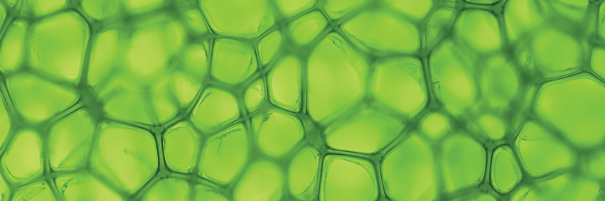 ISMPMI's profile banner image