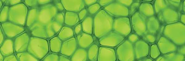 ISMPMI Profile Banner