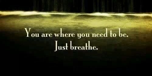 Muireann Ní Riain banner