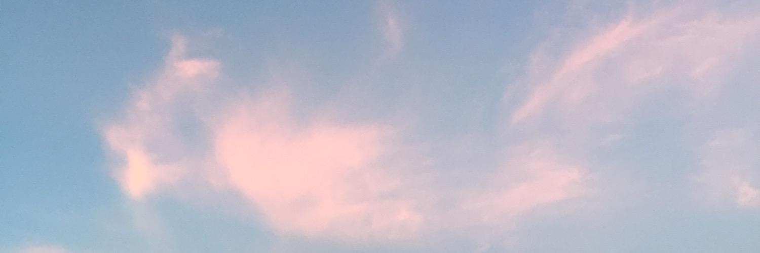 manoela heck banner