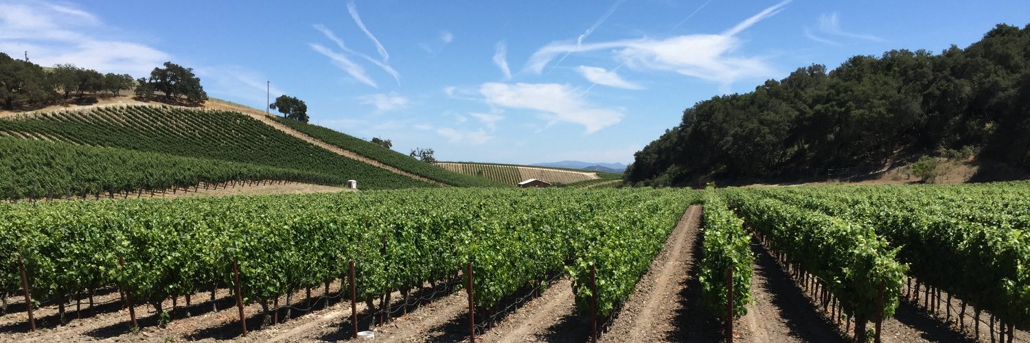 WineryAdvisor's profile banner image