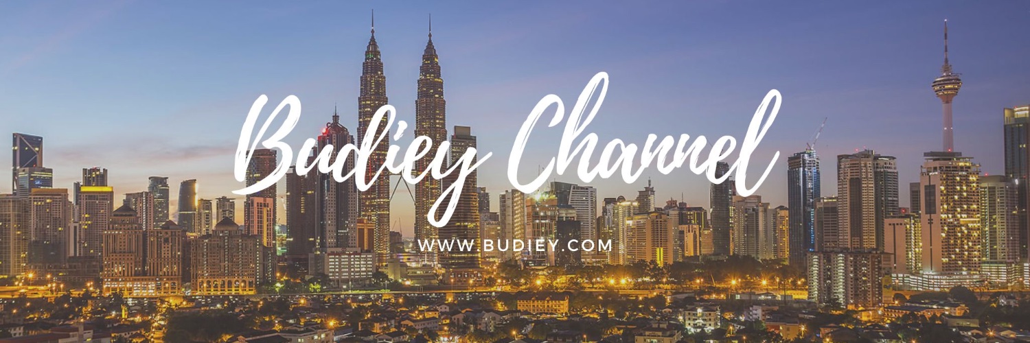 Budiey banner