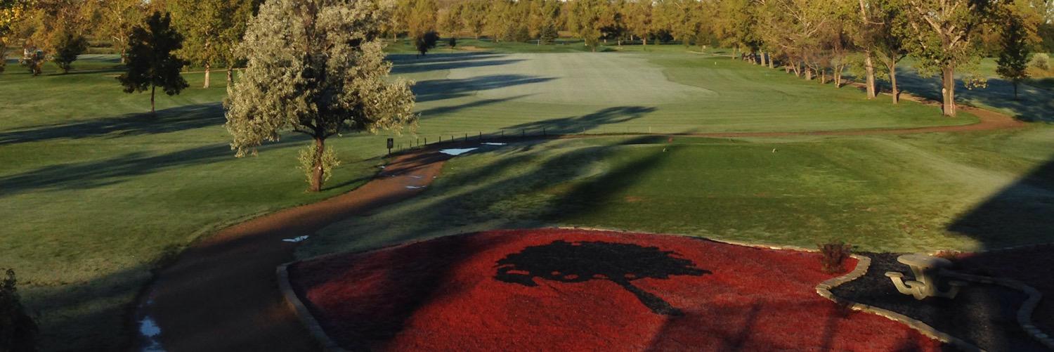 TS&M Woodlawn GC banner