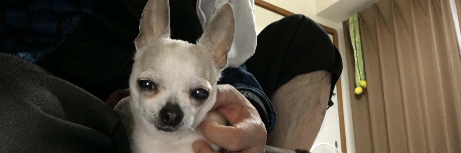 LoozEsockS's profile banner image