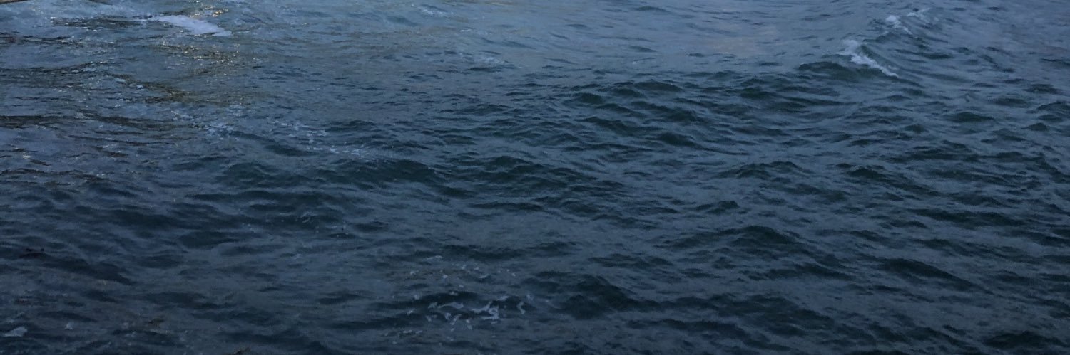 areafuckboy's profile banner image