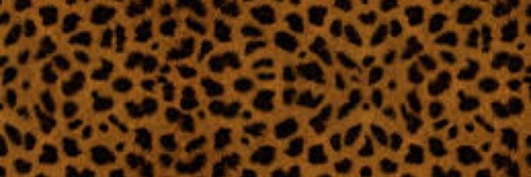 charbeybe Profile Banner