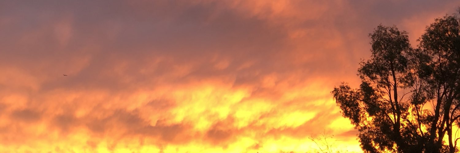 ayushim_'s profile banner image