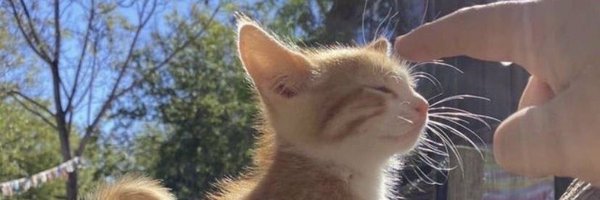 sandy_trooper Profile Banner