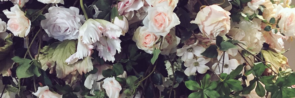 CatRosee's profile banner image