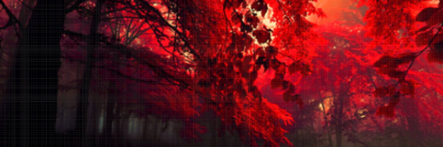 fernandopc3's profile banner image