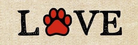 LittleDogs323's profile banner image