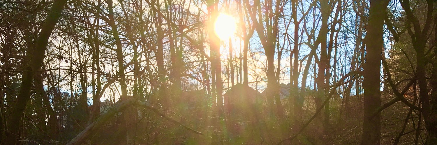 HolisticDenise's profile banner image