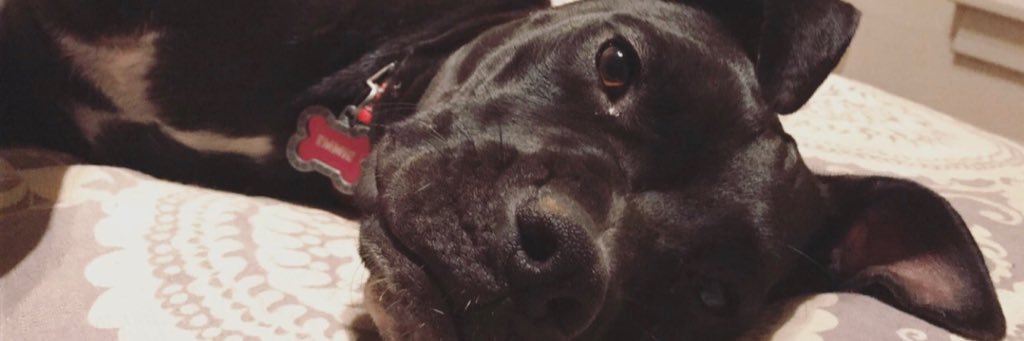 PoWasTaken's profile banner image