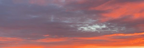 oliviac____ Profile Banner