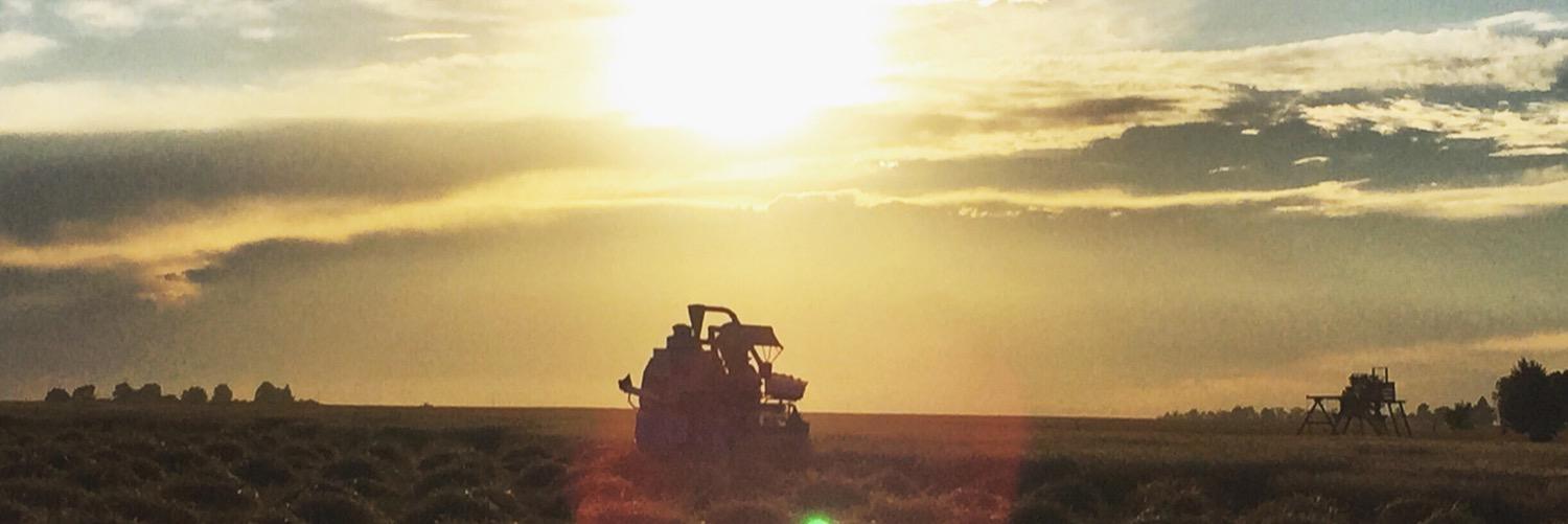 JohnMitchek's profile banner image