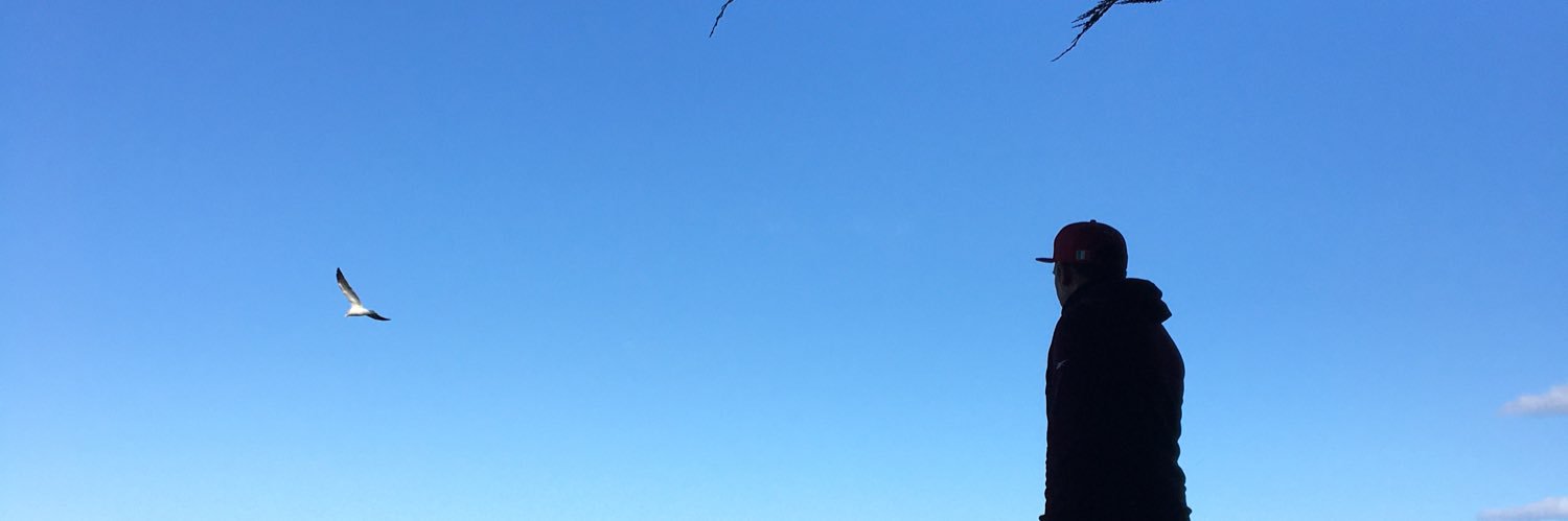 A L E X i S ◀ ♛♞ banner