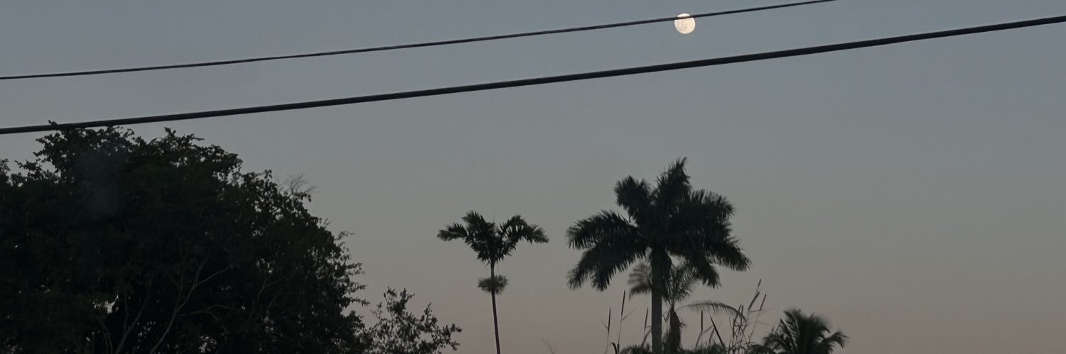 XxLydiaMariexX's profile banner image