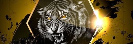rose6sa's profile banner image
