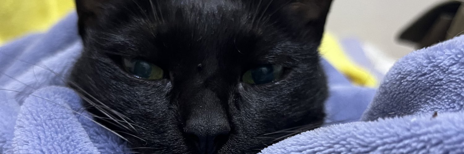 a_cats_slave's profile banner image