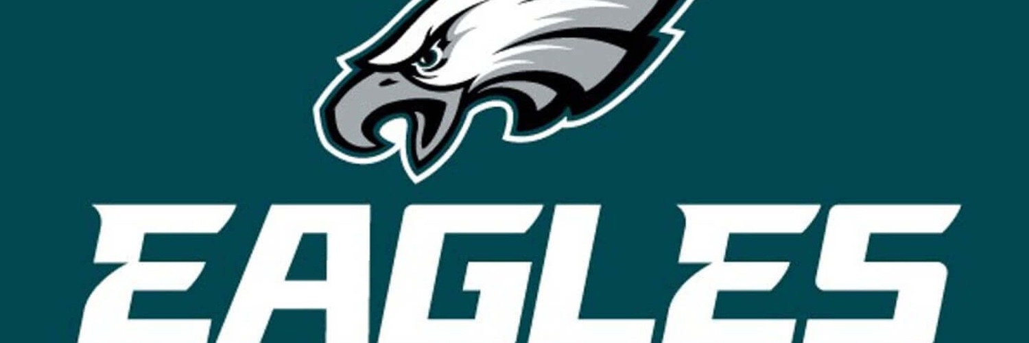 Tiny Birds Fan banner