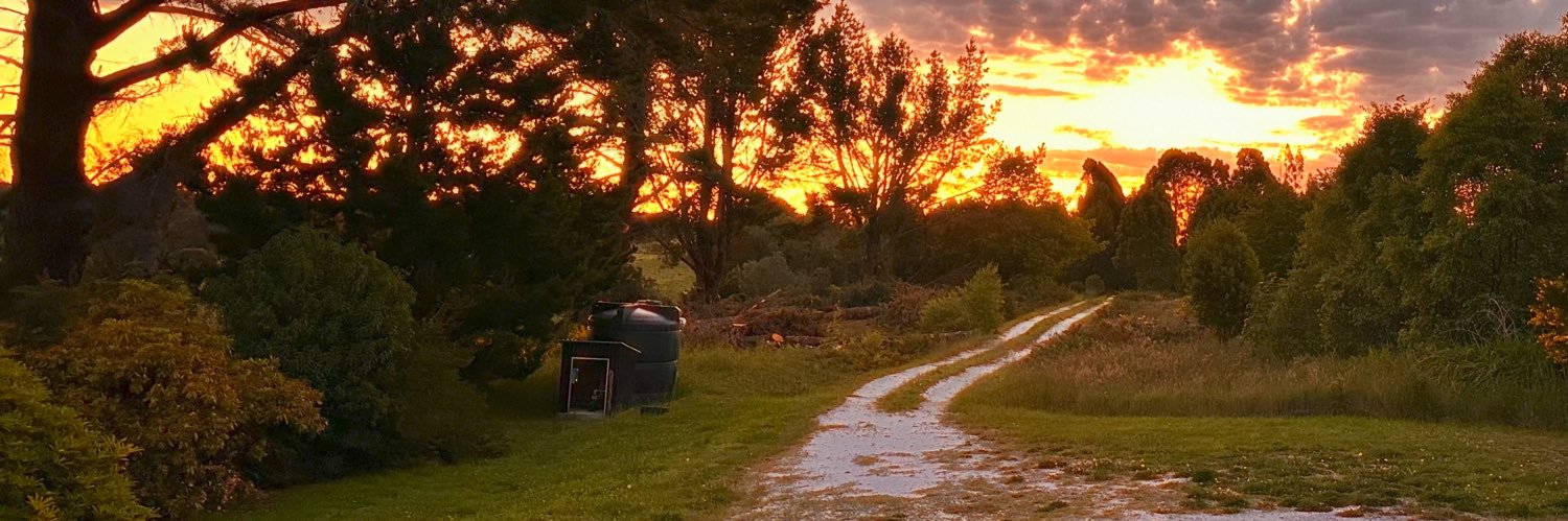 pelao2154's profile banner image