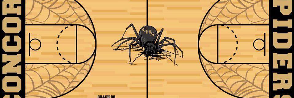 concordspiders's profile banner image