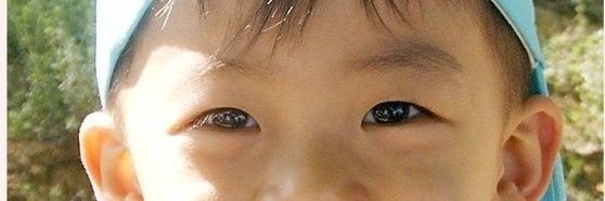 jeh_wasik's profile banner image