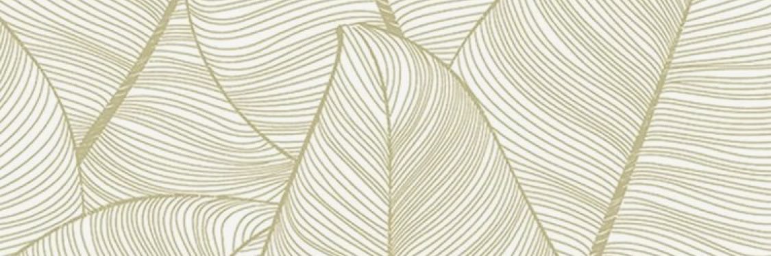 lishurtadoo's profile banner image