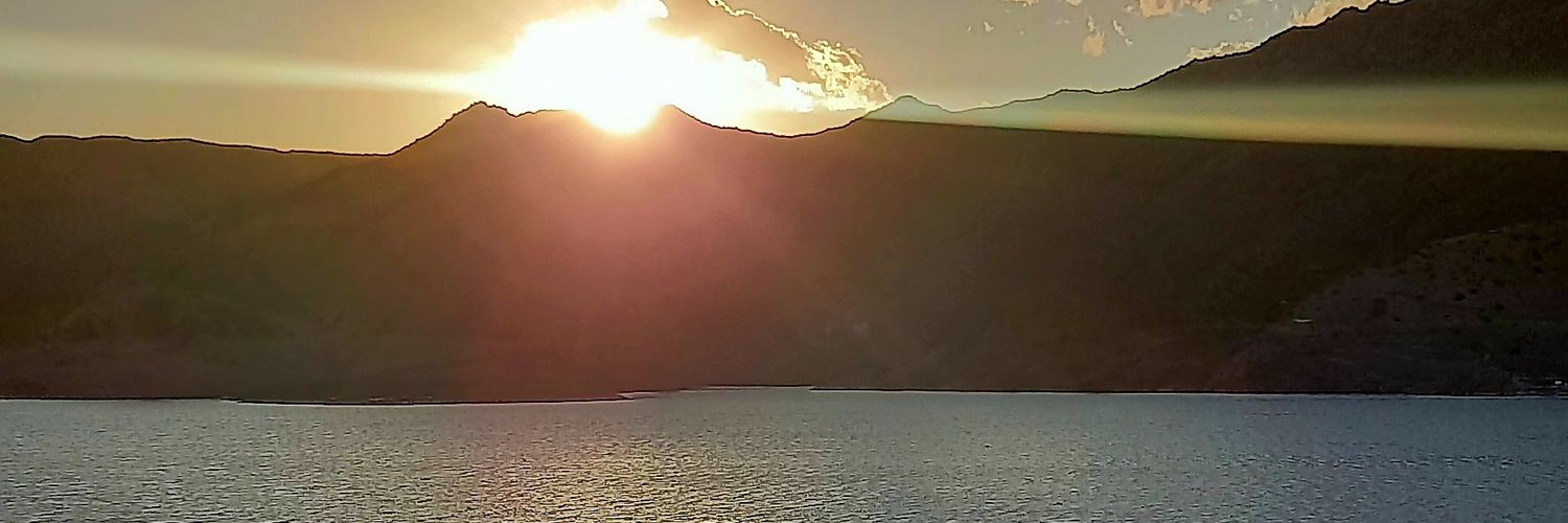 EliSosaa_'s profile banner image