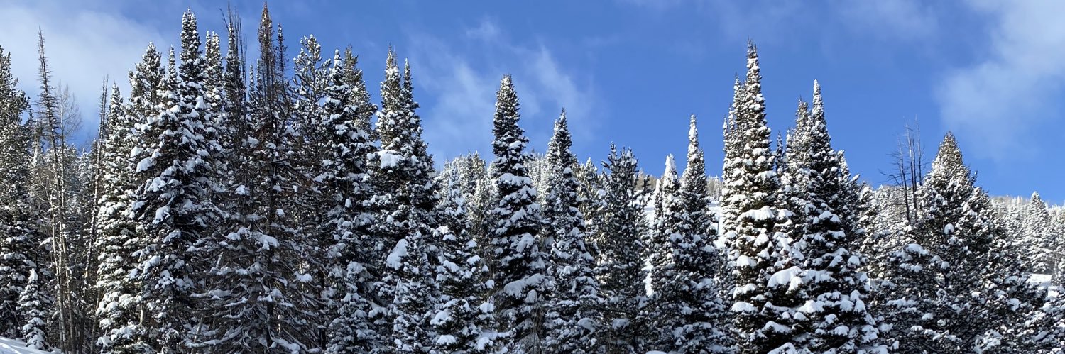 Cassidy Brooke banner