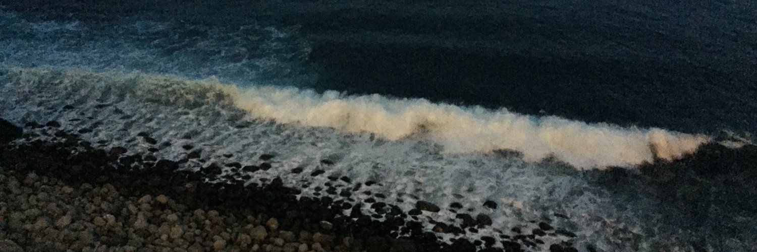 Akira SATO（佐藤 聡） banner