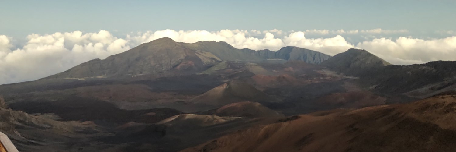 Mitchell Robinson banner
