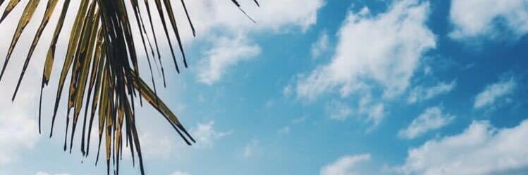 LEFTHANDSWISH's profile banner image