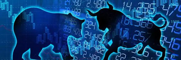 Kiwi_Investor Profile Banner