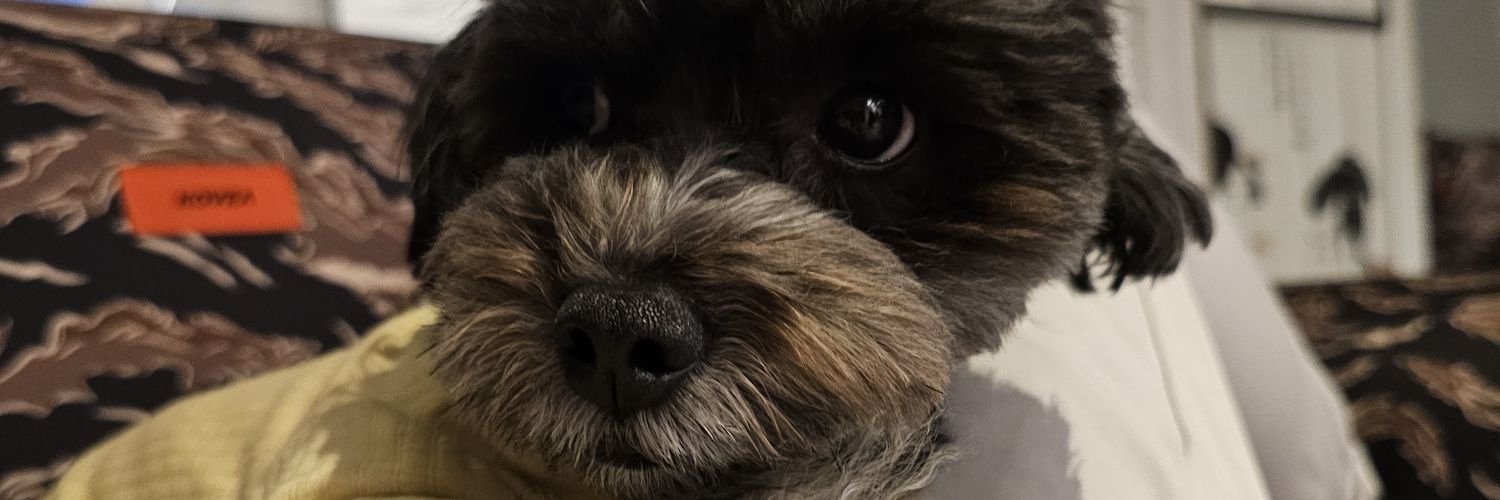 isdead's profile banner image