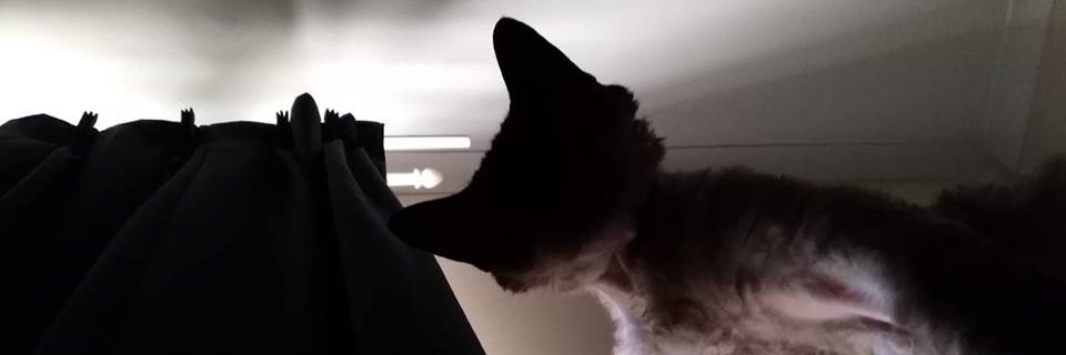 dfunkt77's profile banner image