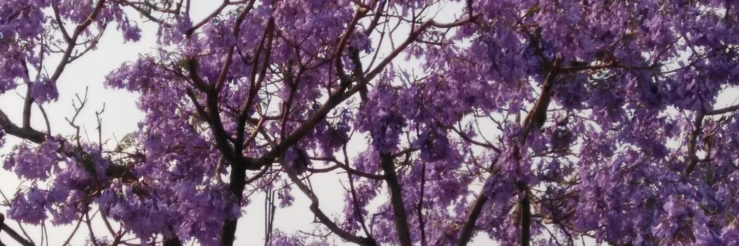 magabarravil's profile banner image