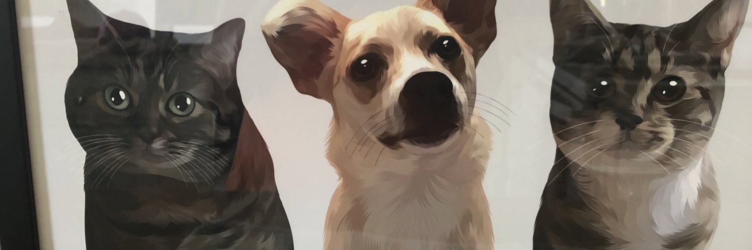 dvrivnjve's profile banner image