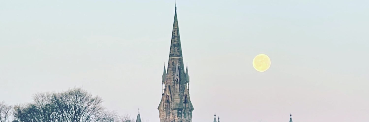 schawlaf's profile banner image