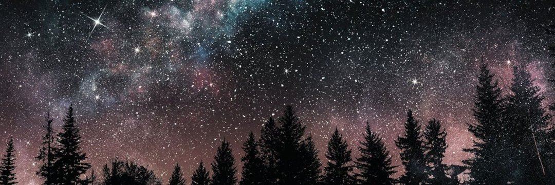 kaesimms's profile banner image