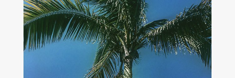 lydiahillx's profile banner image