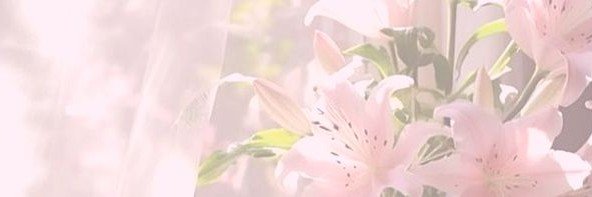ceritashhera's profile banner image
