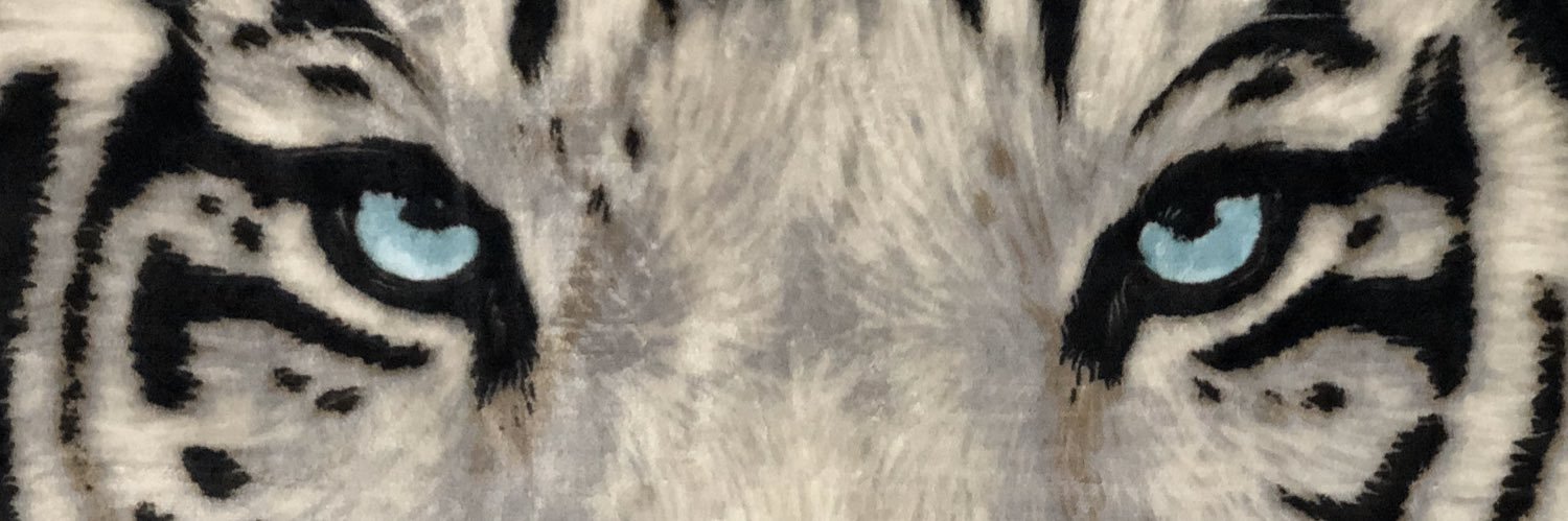 ThomasFranjul's profile banner image