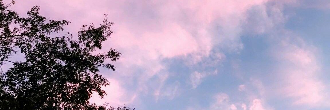 MaraJimenez8's profile banner image