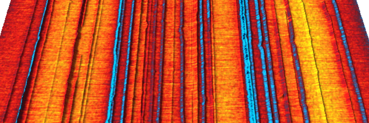 WLW_MRL's profile banner image