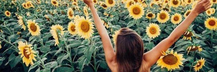 __rosanchez's profile banner image