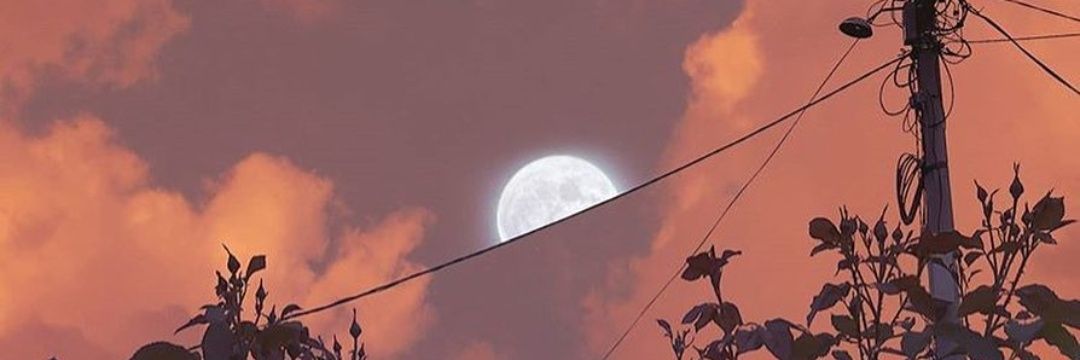 troydeasel's profile banner image