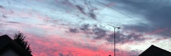 leliy_'s profile banner image