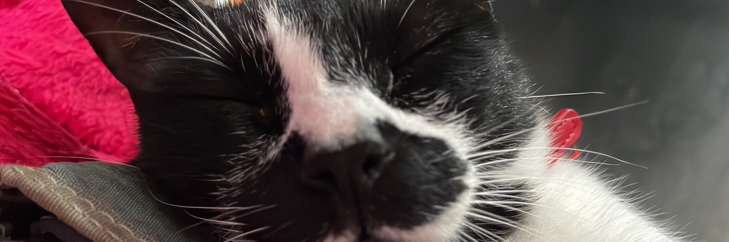 thaissoeiro_'s profile banner image